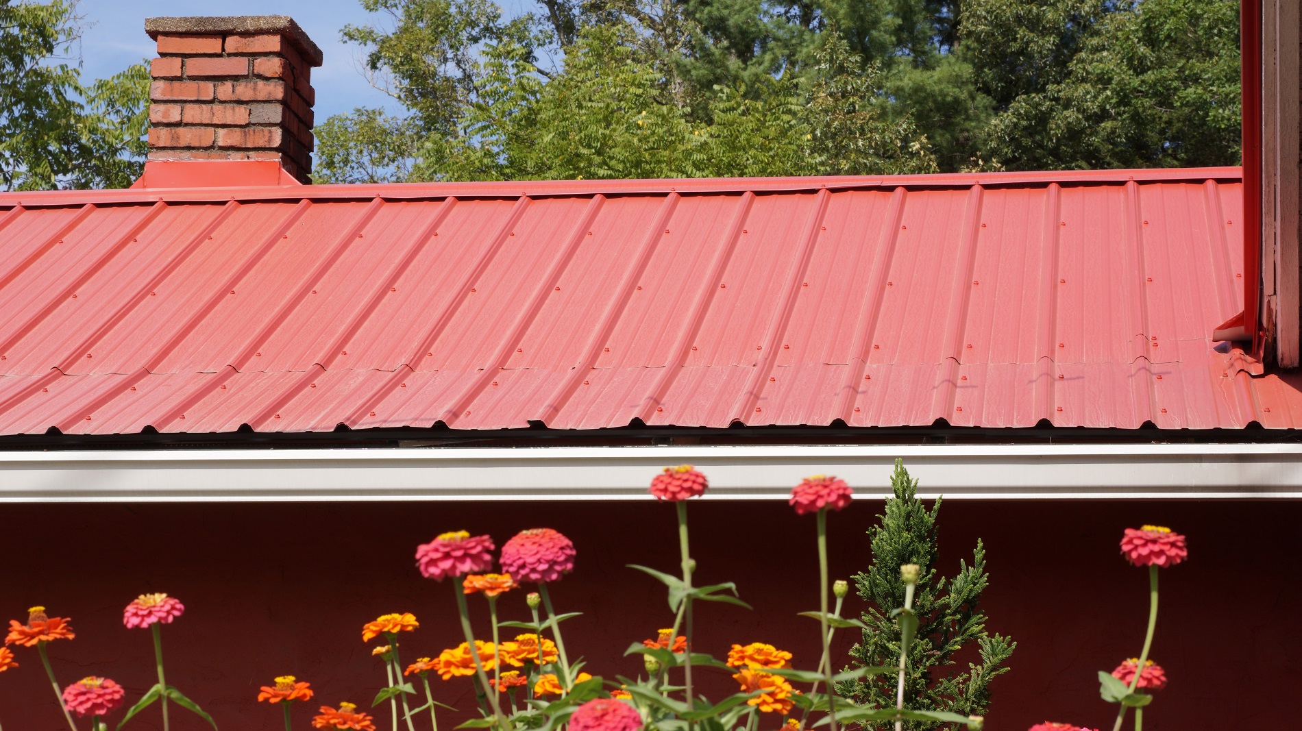 metal roof replacement